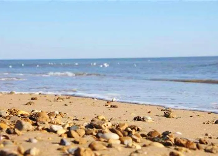 Maison D'une A Dame De Monts A 800 M De La Avec Vue Sur La Terrasse Amenagee Et Wifi Hébergement de vacances