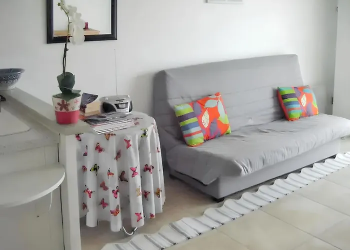 Maison D'une A Dame De Monts A 800 M De La Avec Vue Sur La Terrasse Amenagee Et Wifi *